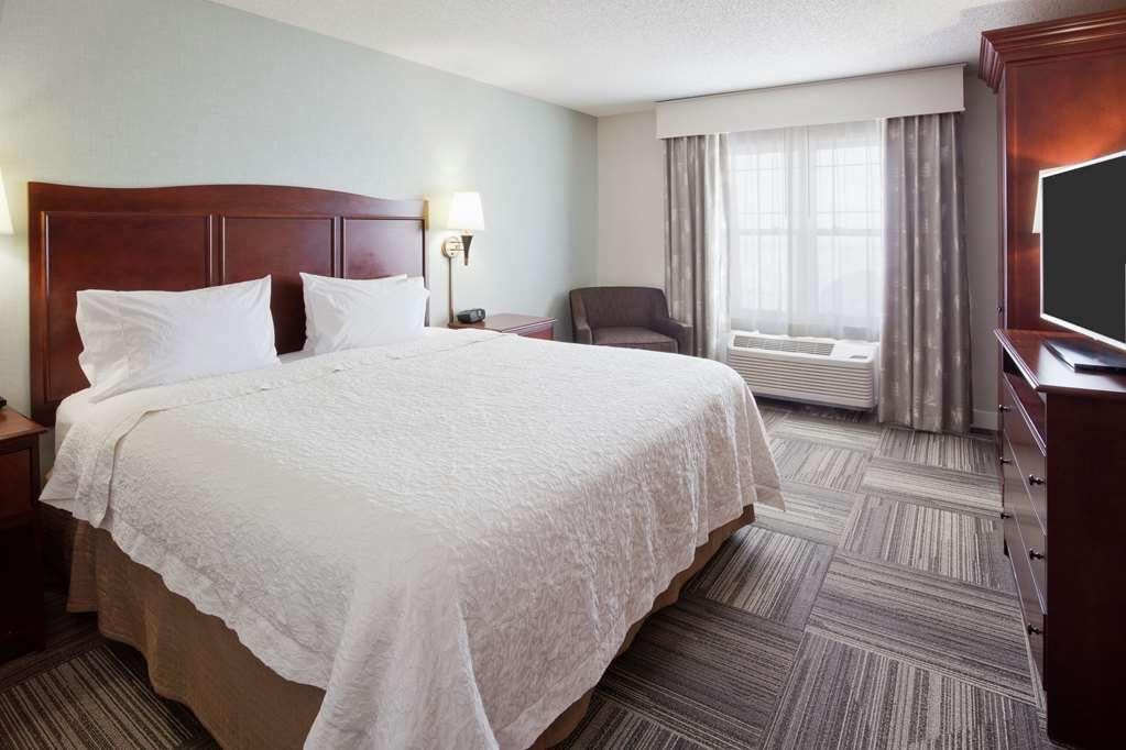 Hampton Inn Duluth-Canal Park Kamer foto